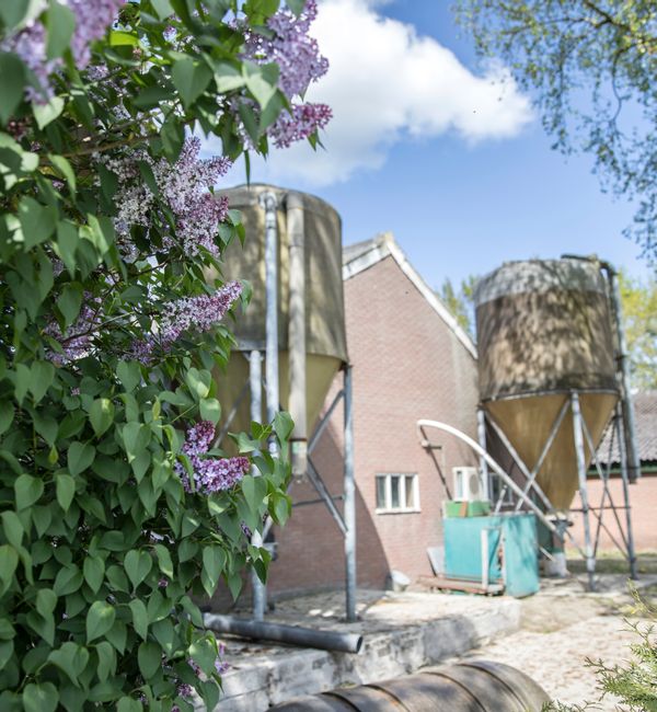 Van voormalig varkensbedrijf naar vier woningbouwkavels