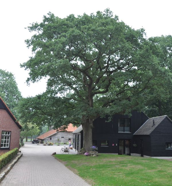 Dappere sprong van boerenbedrijf naar natuurcamping