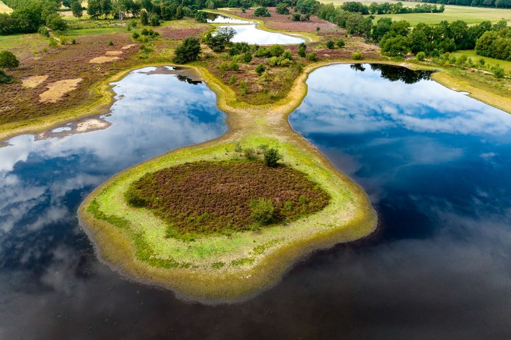 Drones in de natuur | Landschap Overijssel