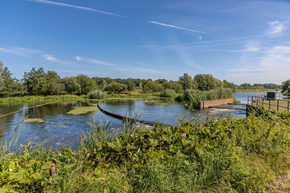 De Regge, Gonny Sleurink