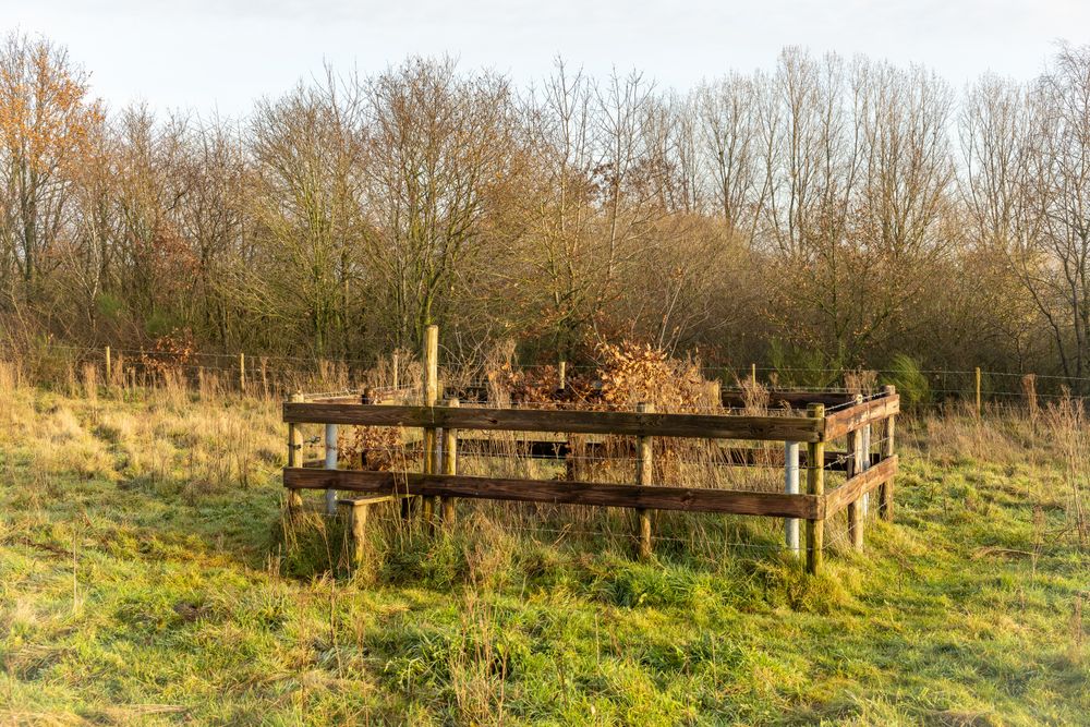 Collendoornmeetpunt